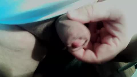 Snapshot of smallpforu chatting on February 11, 2026, 3:50 pm Small Pekka online show from February 11, 2026, 3:50 pm