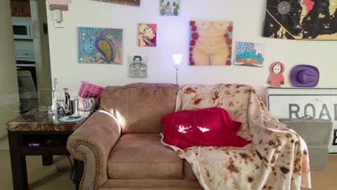 Snapshot of smokihippi chatting on May 30, 2026, 1:25 am Big Dawg online show from May 30, 2026, 1:25 am