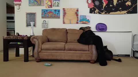 Big Dawg online show from July 26, 2026, 2:57 pm