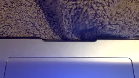 snowpapi79260 online show from January 21, 2025, 8:52 am