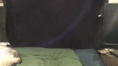 Riley Ray online show from November 1, 2025, 1:51 am