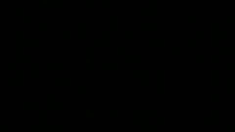 snp__useeitsfun online show from November 10, 2025, 9:41 am