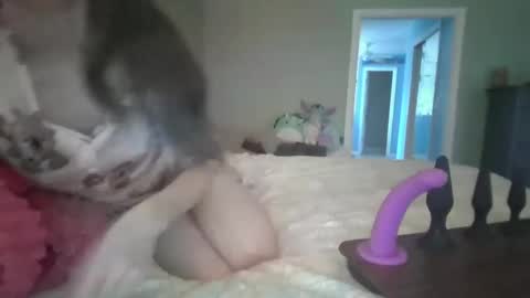 Snapshot of soaring_angel chatting on December 30, 2024, 3:24 pm soaring_angel online show from December 30, 2024, 3:24 pm