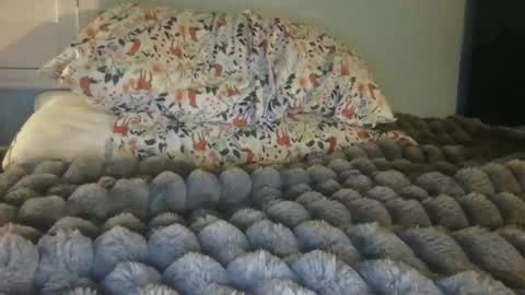 soccerstarnoww online show from January 24, 2025, 10:00 am