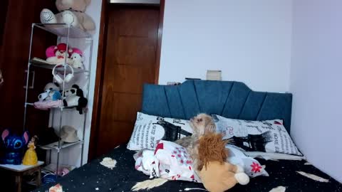 sofia86379 online show from March 17, 2026, 7:50 pm