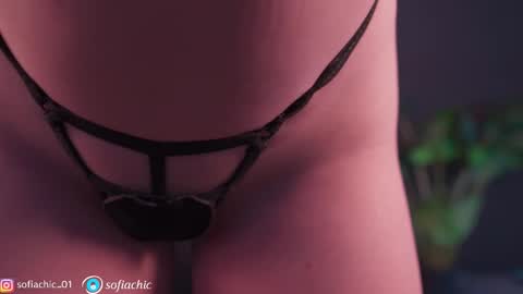 Sofia online show from March 4, 2026, 12:55 pm