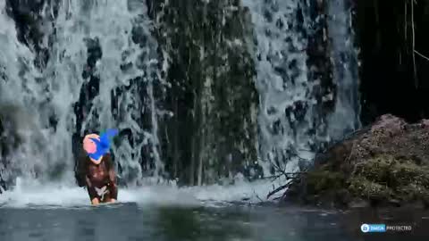 solisii online show from November 1, 2025, 9:11 am