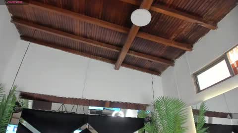 Snapshot of sophia_greey_ chatting on June 12, 2026, 5:56 pm Shopia online show from June 12, 2026, 5:56 pm