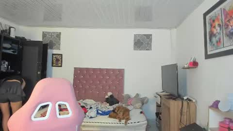 Snapshot of sophie_dolly_ chatting on June 17, 2026, 6:49 am sophie doll online show from June 17, 2026, 6:49 am