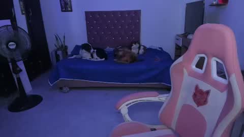 Snapshot of sophie_dolly_ chatting on June 25, 2026, 2:33 am sophie doll online show from June 25, 2026, 2:33 am