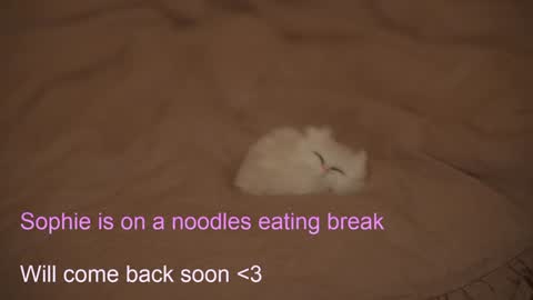 Sophie  Next stream  3 online show from February 6, 2025, 7:40 pm