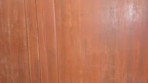 Shopiia88 online show from February 18, 2026, 12:01 pm