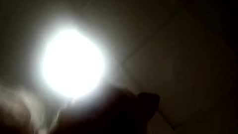 Snapshot of south_florida chatting on September 17, 2025, 7:37 pm Candy online show from September 17, 2025, 7:37 pm