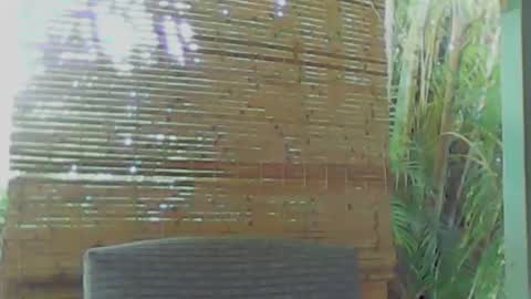 Snapshot of soveryhandsome chatting on January 9, 2025, 5:34 am soveryhandsome online show from January 9, 2025, 5:34 am