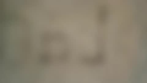 Snapshot of soveryhandsome chatting on February 4, 2025, 7:33 pm soveryhandsome online show from February 4, 2025, 7:33 pm