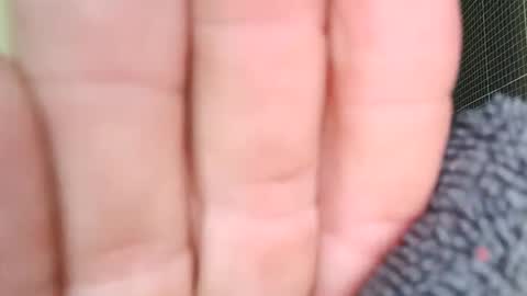 Snapshot of sowbilbao1 chatting on April 5, 2026, 1:19 pm sowbilbao1 online show from April 5, 2026, 1:19 pm