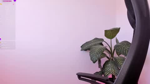 Sami Diaz   online show from January 7, 2025, 1:57 pm