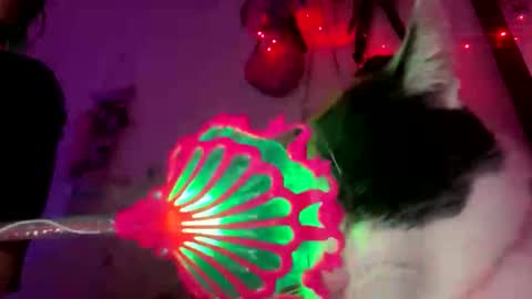 Spacegirl online show from November 8, 2025, 8:29 pm