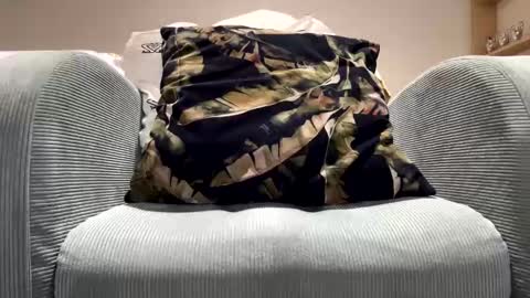 Dany online show from February 11, 2025, 11:54 pm