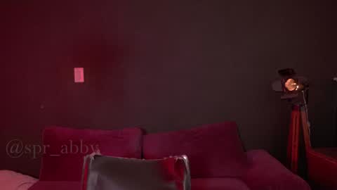 Snapshot of spr_abby chatting on December 8, 2024, 11:19 pm Abby online show from December 8, 2024, 11:19 pm