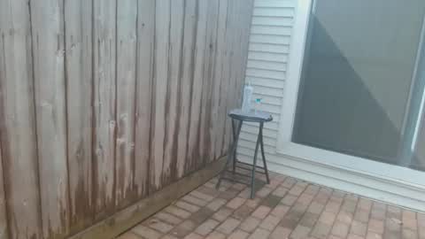 Snapshot of srtxshow chatting on October 25, 2025, 4:46 pm srtxshow online show from October 25, 2025, 4:46 pm