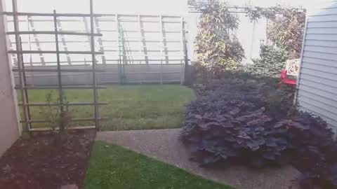 Snapshot of srtxshow chatting on November 16, 2025, 8:47 pm srtxshow online show from November 16, 2025, 8:47 pm