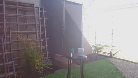 Snapshot of srtxshow chatting on February 7, 2026, 6:00 pm srtxshow online show from February 7, 2026, 6:00 pm