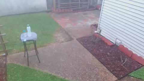 Snapshot of srtxshow chatting on March 8, 2026, 10:13 pm srtxshow online show from March 8, 2026, 10:13 pm