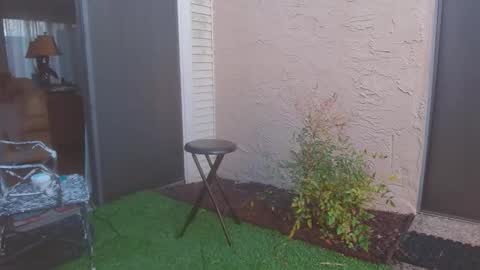 Snapshot of srtxshow chatting on March 13, 2026, 11:33 pm srtxshow online show from March 13, 2026, 11:33 pm