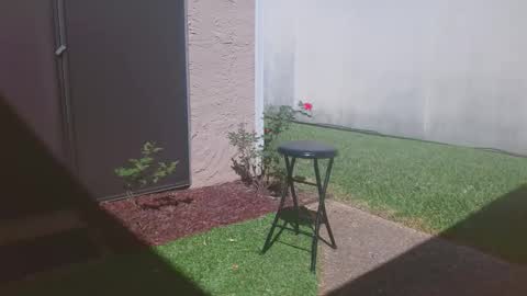 Snapshot of srtxshow chatting on March 14, 2026, 4:34 pm srtxshow online show from March 14, 2026, 4:34 pm