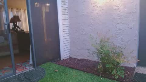 Snapshot of srtxshow chatting on April 4, 2026, 12:02 pm srtxshow online show from April 4, 2026, 12:02 pm