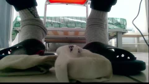 Snapshot of ssenzo chatting on December 10, 2024, 9:54 pm ssenzo online show from December 10, 2024, 9:54 pm