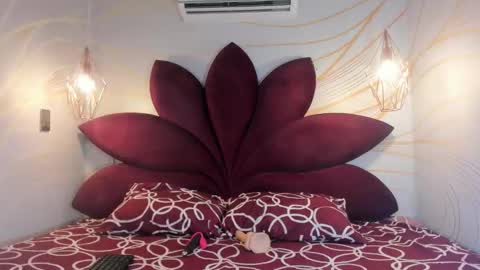 STAAR HOT online show from February 19, 2026, 12:23 pm