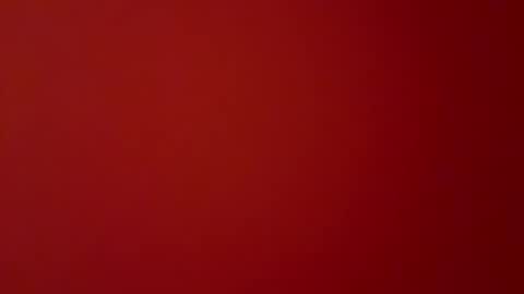 stadedefrance online show from December 10, 2024, 2:17 pm