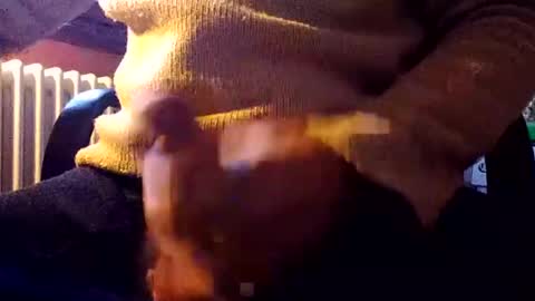 Snapshot of stalloneumbro chatting on December 31, 2024, 1:08 pm CIPPALIPPA online show from December 31, 2024, 1:08 pm