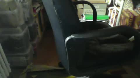 Snapshot of stalloneumbro chatting on January 21, 2025, 8:52 am CIPPALIPPA online show from January 21, 2025, 8:52 am