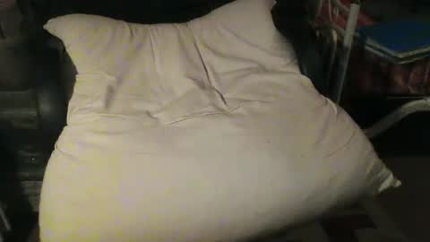 Snapshot of stalloneumbro chatting on January 22, 2025, 3:07 pm CIPPALIPPA online show from January 22, 2025, 3:07 pm