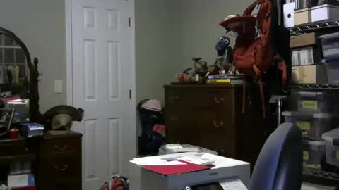 stasw20 online show from January 25, 2025, 3:09 am