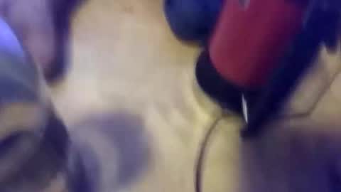 Snapshot of steinarskogmoen chatting on October 19, 2025, 1:28 am anube krato online show from October 19, 2025, 1:28 am