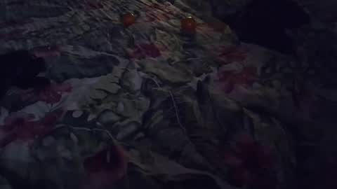 Rocco-load online show from January 7, 2025, 6:56 pm