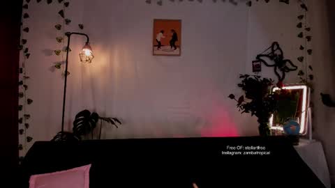 stellart_ online show from February 19, 2025, 2:55 am