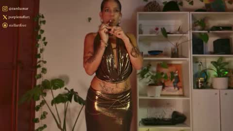 stellart_ online show from November 28, 2025, 2:14 am