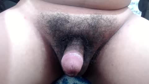 Snapshot of stellaven chatting on December 13, 2024, 6:53 am Stellaven online show from December 13, 2024, 6:53 am