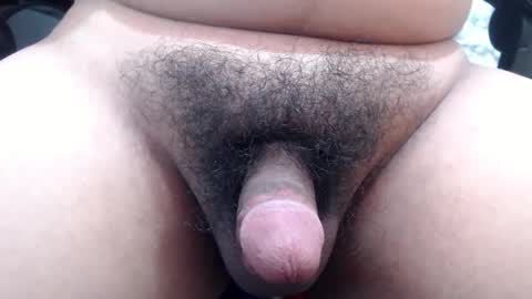 Snapshot of stellaven chatting on January 24, 2025, 10:11 am Stellaven online show from January 24, 2025, 10:11 am