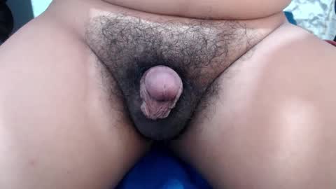 Snapshot of stellaven chatting on February 14, 2025, 6:56 am Stellaven online show from February 14, 2025, 6:56 am