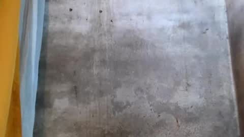 stephanie172 online show from January 16, 2026, 2:26 am