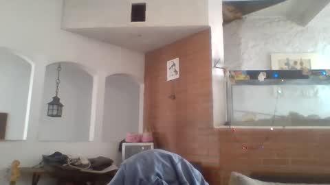 Snapshot of stevenson988 chatting on December 26, 2024, 6:12 pm stevenson988 online show from December 26, 2024, 6:12 pm