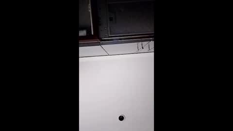 Snapshot of stewndumplins chatting on April 14, 2026, 9:21 pm stewndumplins online show from April 14, 2026, 9:21 pm