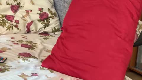 Chris online show from September 15, 2025, 7:52 am