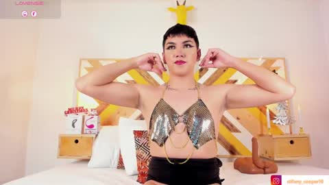 Snapshot of stifany_cooper chatting on December 12, 2024, 2:04 am stifany cooper online show from December 12, 2024, 2:04 am